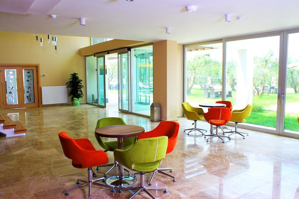 Zeytin Bahcesi Hotel Ιζνίκ Εξωτερικό φωτογραφία